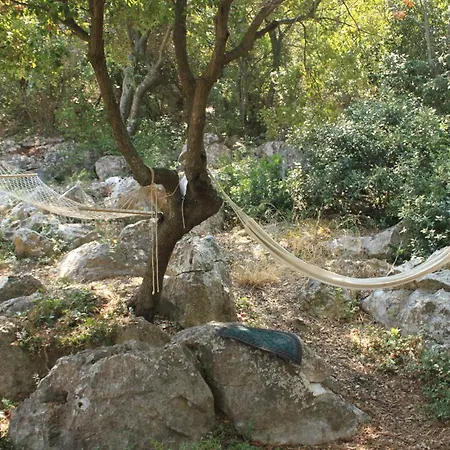 Πανσιόν Twin Lucica 990c 2*